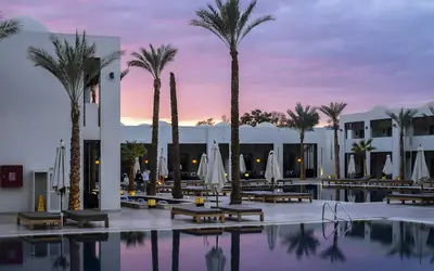 Resort pool lined with palm trees at sunset