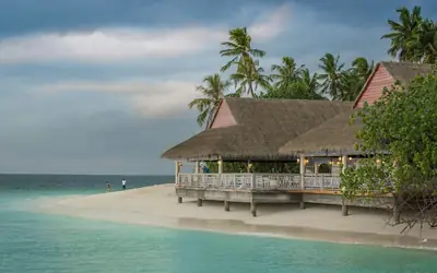 Thatched beach cottage by the sea
